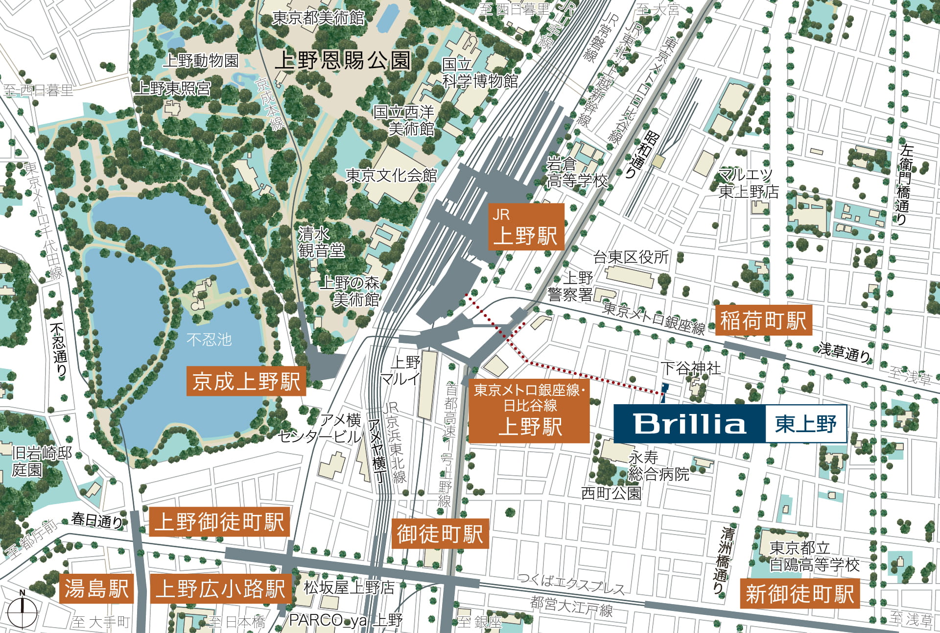 現地案内図