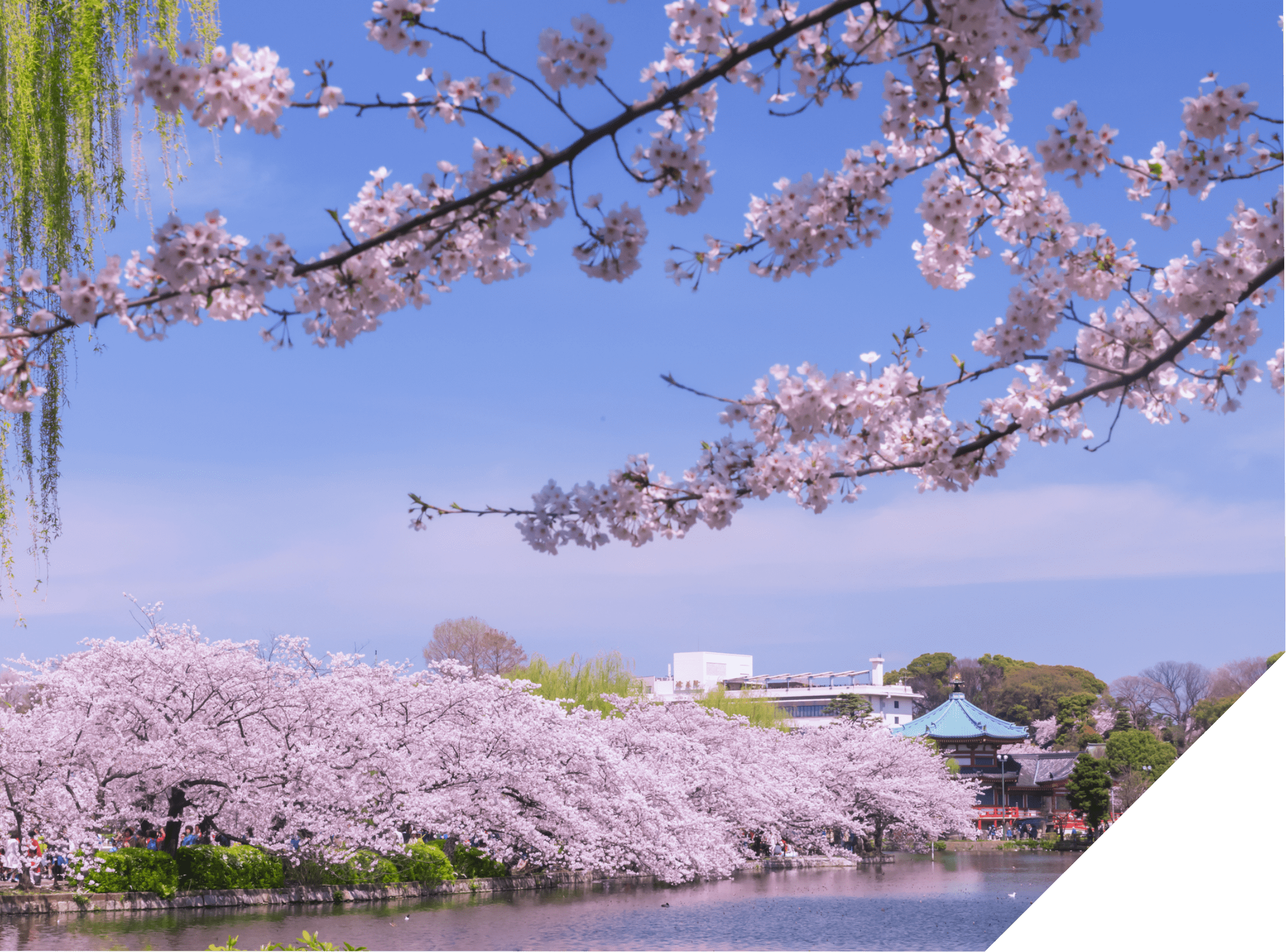LOCATION 上野恩賜公園(image photo)/徒歩8分・約620m